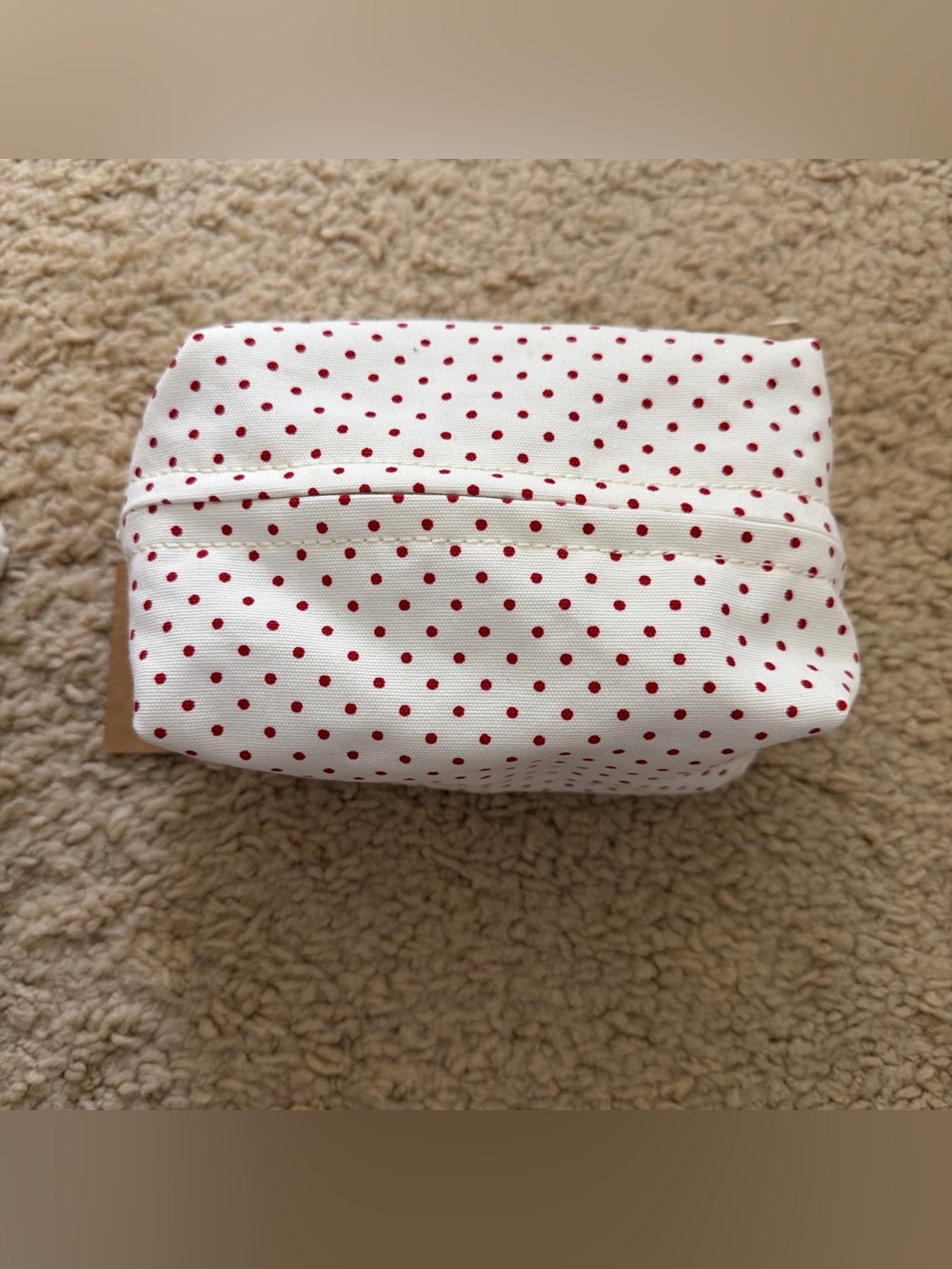 Brandy melville polka dots makeup bag